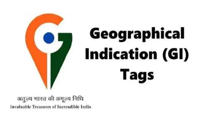 The Mithila Makhana GI Tag: A Guarantee of Quality for International Importers