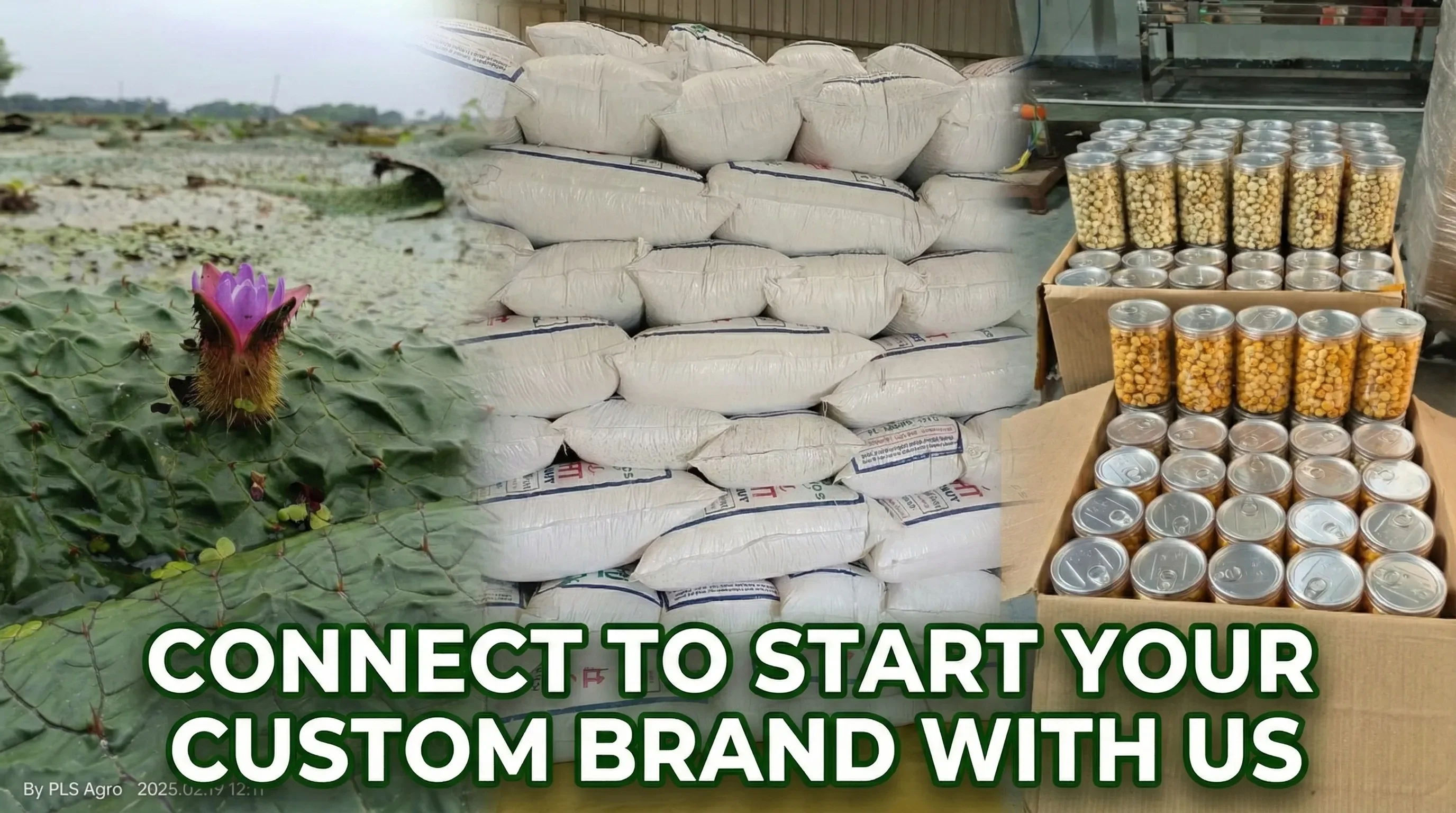 Create Your Own  Brand Legacy