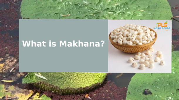 what is makhana, Makhana in bowl
