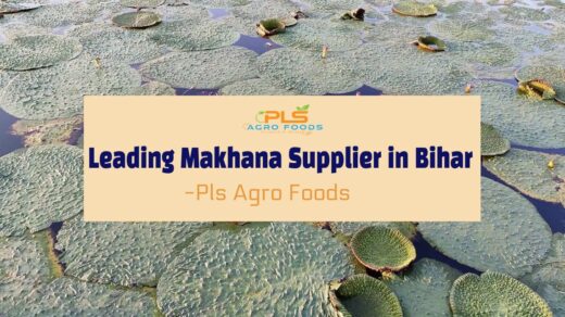 makhana-supplier-bihar