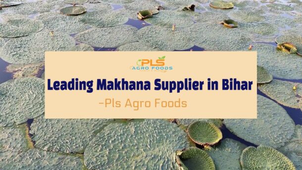 makhana-supplier-bihar
